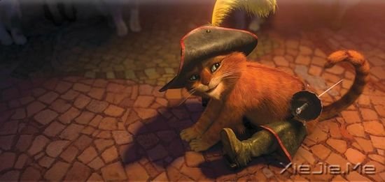 关于猫咪的9部经典电影推荐 (4)