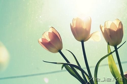 我用心守候 (4)
